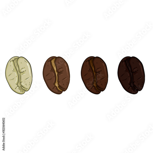 Roasting Degree Coffee Beans Cartoon Illustrations