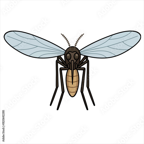 A detailed illustration of a mosquito with light blue wings and a brown body on a white background, suitable for educational materials.