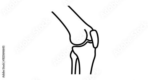 Line drawing of a human knee joint, showcasing the bones and cartilage in a simplified anatomical view.