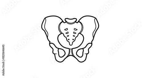 Anatomical illustration of a human pelvis bone structure, depicted in a simple black and white line drawing.