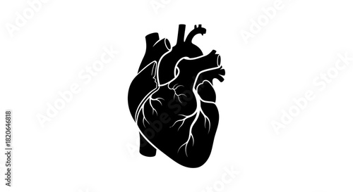 Anatomical heart illustration in black silhouette against a white background, showing veins and arteries.