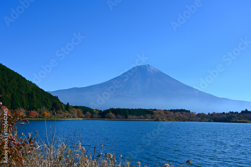 田貫湖　富士山　霊峰富士　紅葉　世界遺産　秋　眺望　湖　自然　絶景　絶景スポット　観光名所　名所　観光地　風景　景勝地　富士　静岡県　山