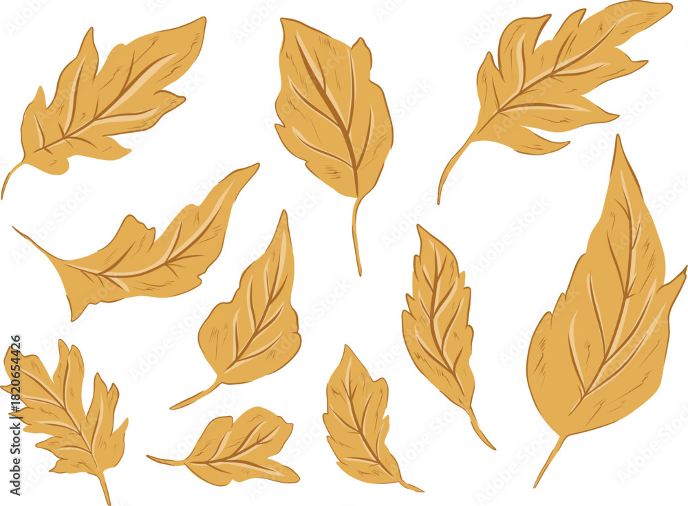 Obraz premium Autumn Leaves Vector Set: Golden Botanical Illustration