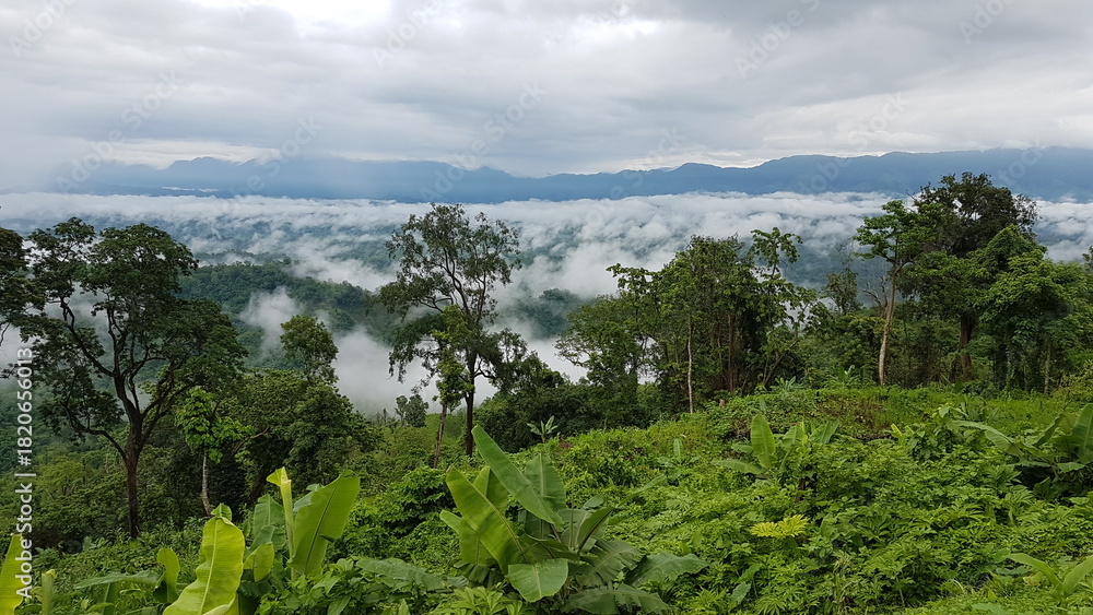 Obraz premium Breathtaking panoramic view of a lush green mountain range with misty valleys and dense tropical forest under a cloudy sky