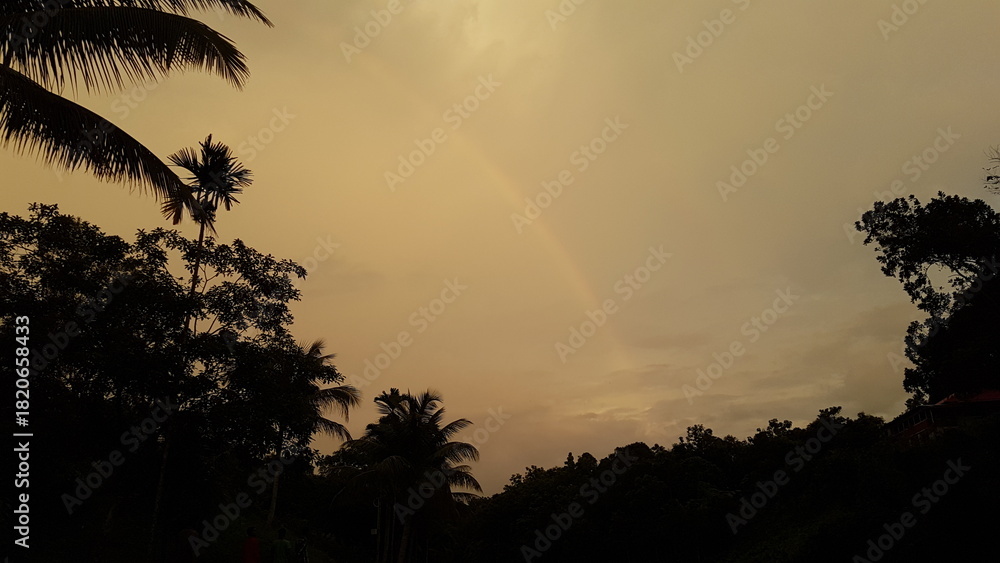 Fototapeta premium Subtle Rainbow Arching Over Silhouetted Tropical Trees Against a Dramatic Evening Sky After Rain