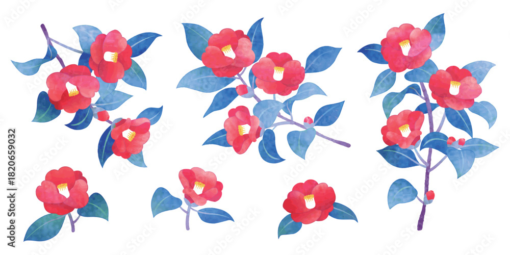 Fototapeta premium 手描き水彩風 椿の花 イラストセット 