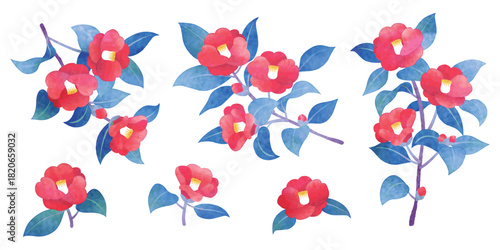 手描き水彩風　椿の花　イラストセット
