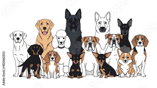 Group portrait illustration of various popular purebred dog breeds posing together