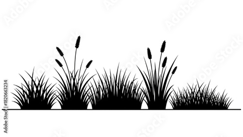Vector silhouette of wild reeds and grass blades isolated on a white background