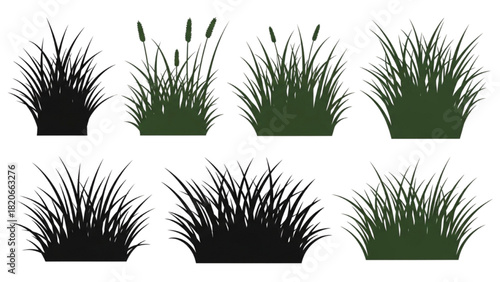 Grass Clumps Illustration Diverse Styles for Nature-Themed Design and Decoration