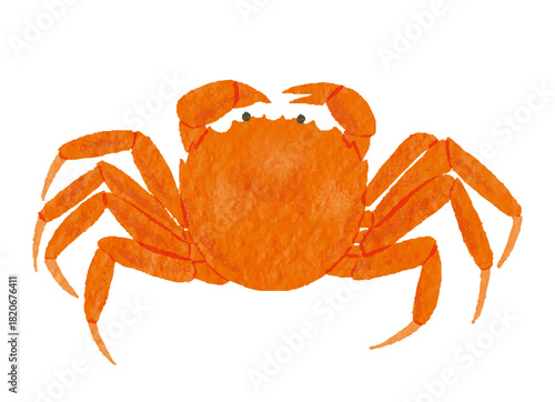 上海蟹のイラスト（中華料理・高級海鮮）