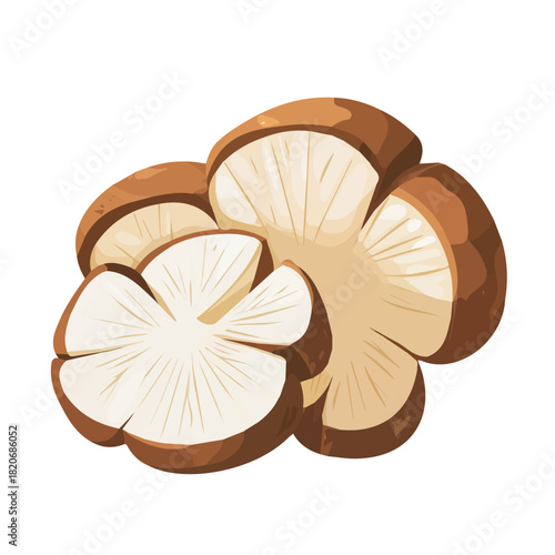 Minimalistic 2D icon featuring a sliced_sunchoke isolated on a white background, an element in vector and EPS format, Icon clipart set