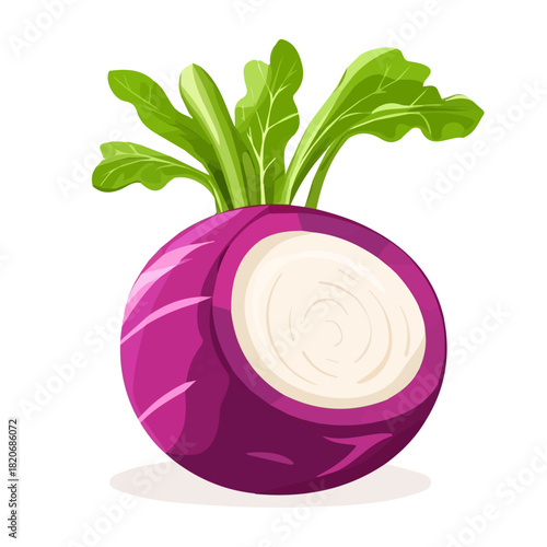 Cute Minimalistic 2D icon featuring a sliced_turnip isolated on a white background, an element in vector and EPS format, Icon clipart set