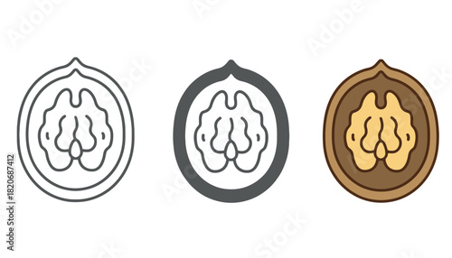 Varied depictions of a walnut kernel, showcasing its intricate brain-like shape and texture