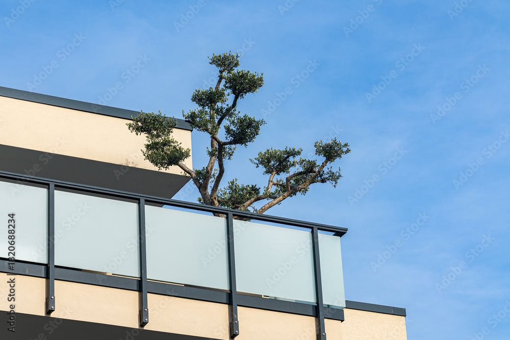 Obraz premium Tree growing from balcony in modern building under clear sky