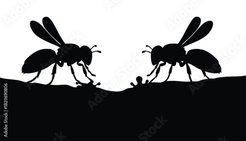 Two insects facing each other in silhouette, engaged in a moment of interaction.
