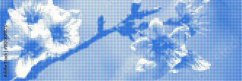 Blue cyanotype cherry tree botanical background. Stipple dot overlay texture with sakura flower and twig silhouette. Delicate indigo blue nature banner for template and graphic design project.