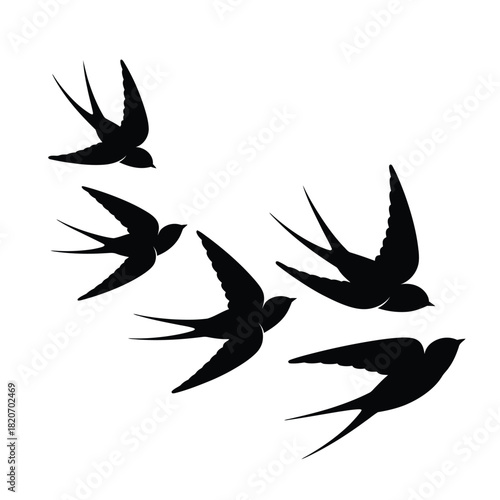 Silhouettes of swallows in flight against a white background