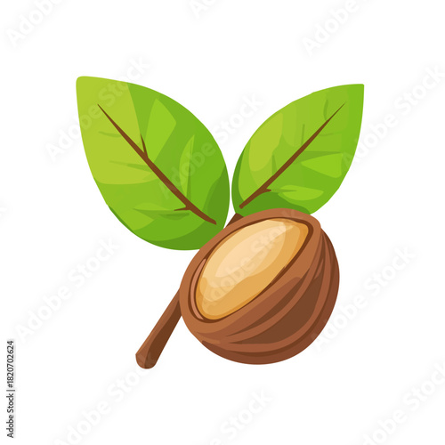 An Imaginary 2D flat icon_walnut, modern element in vector and EPS format_clean vector_isolated on a white background
