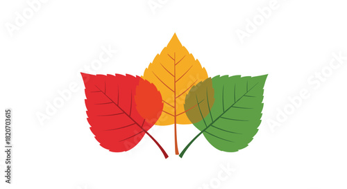 Three overlapping and translucent leaves in the colors of the changing seasons from green to yellow and red symbolize the arrival of autumn.