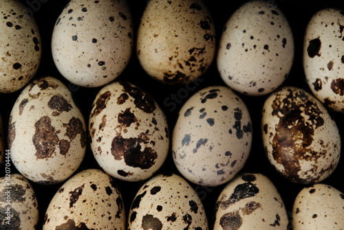 Close-up pattern of many quail eggs on a black background, organic food, healthy diet, top view, natural textures.