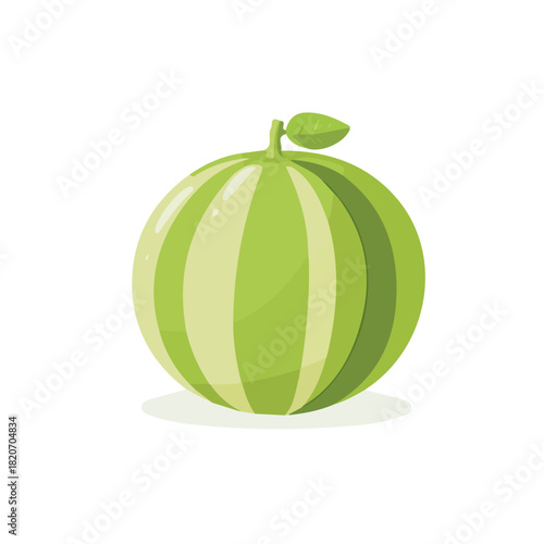 An Imaginary 2D flat icon_whole_honeydew_melon, modern element in vector and EPS format_clean vector_isolated on a white background