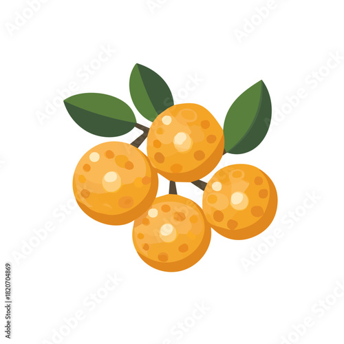 An Imaginary 2D flat icon_whole_longan, modern element in vector and EPS format_clean vector_isolated on a white background