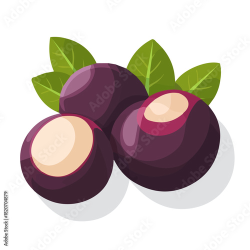 An Imaginary 2D flat icon_whole_mangosteen, modern element in vector and EPS format_clean vector_isolated on a white background