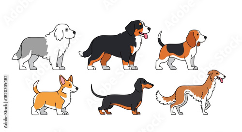Vector illustration set of various cute dog breeds. A diverse collection of domestic pet animals in a flat cartoon style isolated on a white background
