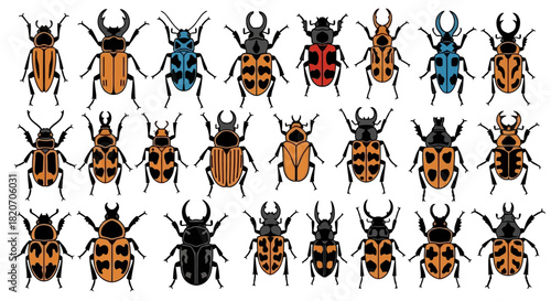Colorful Beetle Collection Vector Illustration