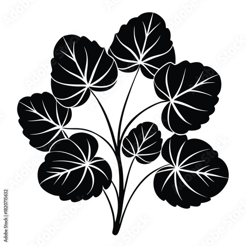 Stylized monochrome plant shows its large textured leaves and simple stems in silhouette