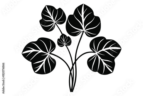 Black silhouette shows distinctive botanical art with symmetrical leaf venation pattern displayed clearly on white