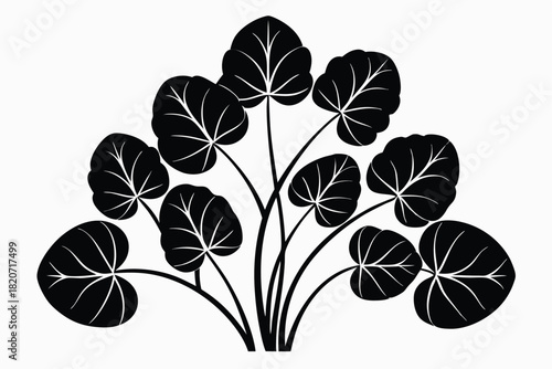 Black silhouette depicts a bunch of caladium plants and stems against a light background