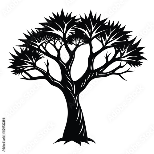 Solitary silhouette tree stands tall, its spiky leaves creating an intriguing pattern against the sky