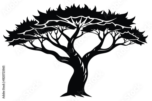 Silhouette of mature tree with wide crown, branches, and curved trunk in black