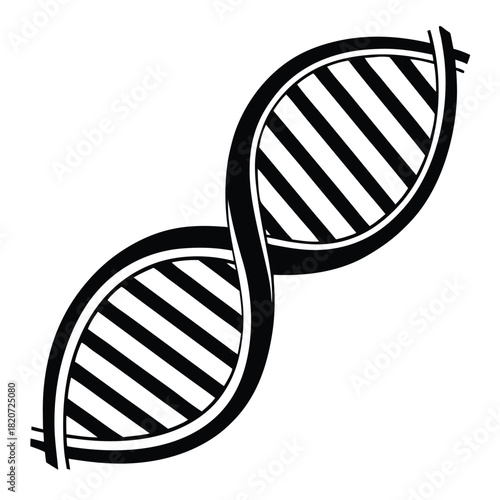 Black and white DNA molecule model structure is displaying helical shape in genetic study