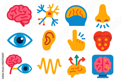 Neuroscience Perception Icons. Flat vector icons of neuroscience of perception: human brain, neuron network, sensory cortex, eye