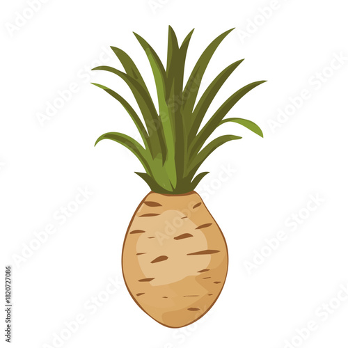 An Imaginary 2D flat icon , modern elemen whole yucca root in vector and EPS format_clean vector_isolated on a white background