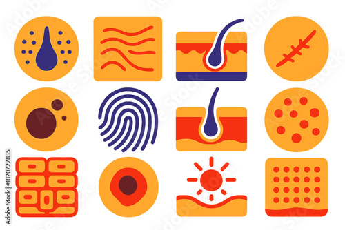 Skin Study Icons. Flat vector icons of Skin Study Motifs: pore detail, wrinkle pattern, cross-section layers, scar close-up, mole