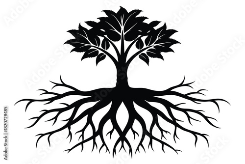 A stark silhouette showcases a broad tree with expansive roots against a bright background