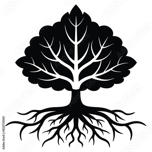 Silhouette of a broad leafy tree with thick roots stretches widely downward
