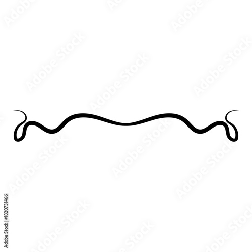 Decorative Line Divider