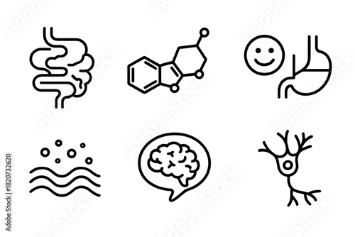 Gut-Brain Axis Icons. Line style icons of Gut-Brain Axis: neural connection from gut, serotonin molecule, mood and digestion