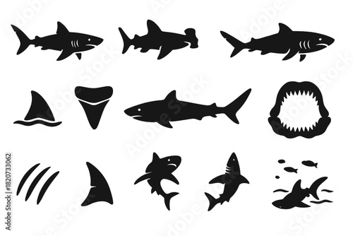Shark Icons Collection. Solid style icons of sharks: great white shark, hammerhead, reef shark, tiger shark, dorsal fin, shark