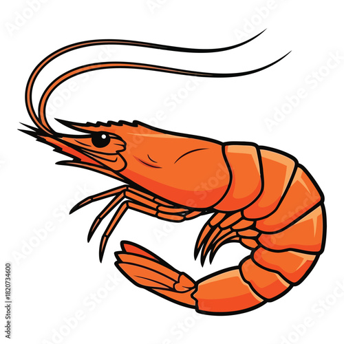 Illustration of a bright orange cooked shrimp with long antennae
