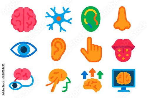Neuroscience Perception Icons. Flat vector icons of neuroscience of perception: human brain, neuron network, sensory cortex, eye