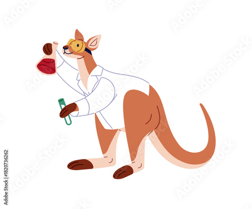 Cute kangaroo chemist does science in laboratory. Funny wallaby does chemistry, chemical research with beakers. Australian animal is scientist. Flat isolated vector illustration on white background