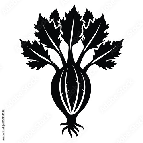 Silhouette of a large beet with many leafy stalks and thick roots is clearly visible