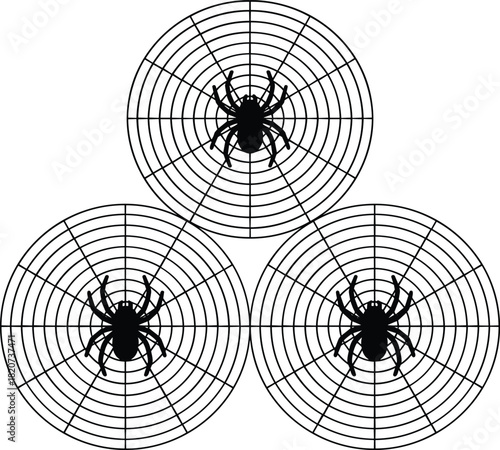 Spider, web, Halloween, arachnid, creepy, insect, nature, symmetrical, black, scary, spooky, wildlife, predator, silk, geometry, pattern, horror, decoration, isolated, background