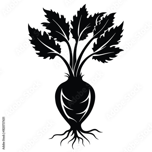 Silhouette shows a black beetroot plant with leaves and roots isolated on a white background